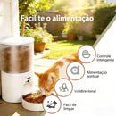 Alimentador Pet Tigela De Aço 4L Inteligente Automático Wi-Fi APP três refeições Comedouro Automático Para Cão Gato