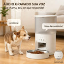 Alimentador Pet Tigela De Aço 4L Inteligente Automático Wi-Fi APP três refeições Comedouro Automático Para Cão Gato