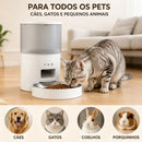 Alimentador Pet Tigela De Aço 4L Inteligente Automático Wi-Fi APP três refeições Comedouro Automático Para Cão Gato