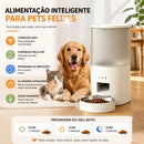 Alimentador Pet Tigela De Aço 4L Inteligente Automático Wi-Fi APP três refeições Comedouro Automático Para Cão Gato